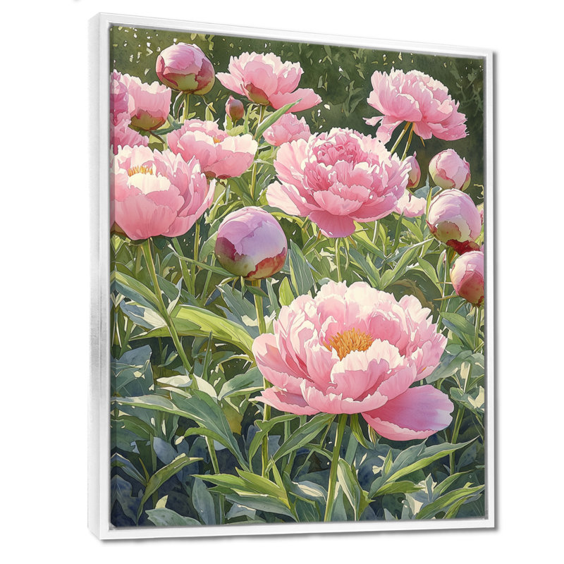 Barnum pivoines dans le potager V - pivoines, art mural sur toile, H 44 po x l 34 po, Reproduction avec cadre flottant, Blanc