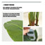 Simulation de banane grande plante verte-111038292-111038293