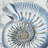 Coastal Outdoor Shell Pillow Cover-109070070