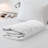 All Season Polyester Down Alternative Comforter-30521701