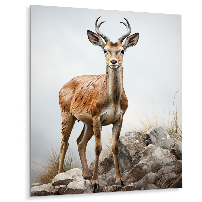 Graceful Antelope III - animaux, art mural en métal, H 20 po x l 12 po x P 1 po
