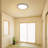 Selase Acrylic LED Flush Mount