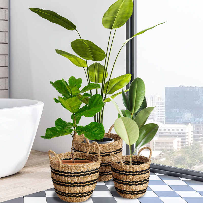 Ameera 3 Piece Woven Wicker Baskets