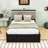 Queen-Size Platform Bed with Upholstered Headboard, Built-in Storage Drawers-1574926031