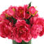Peony Arrangement in Glass Vase with Grass-1076545412