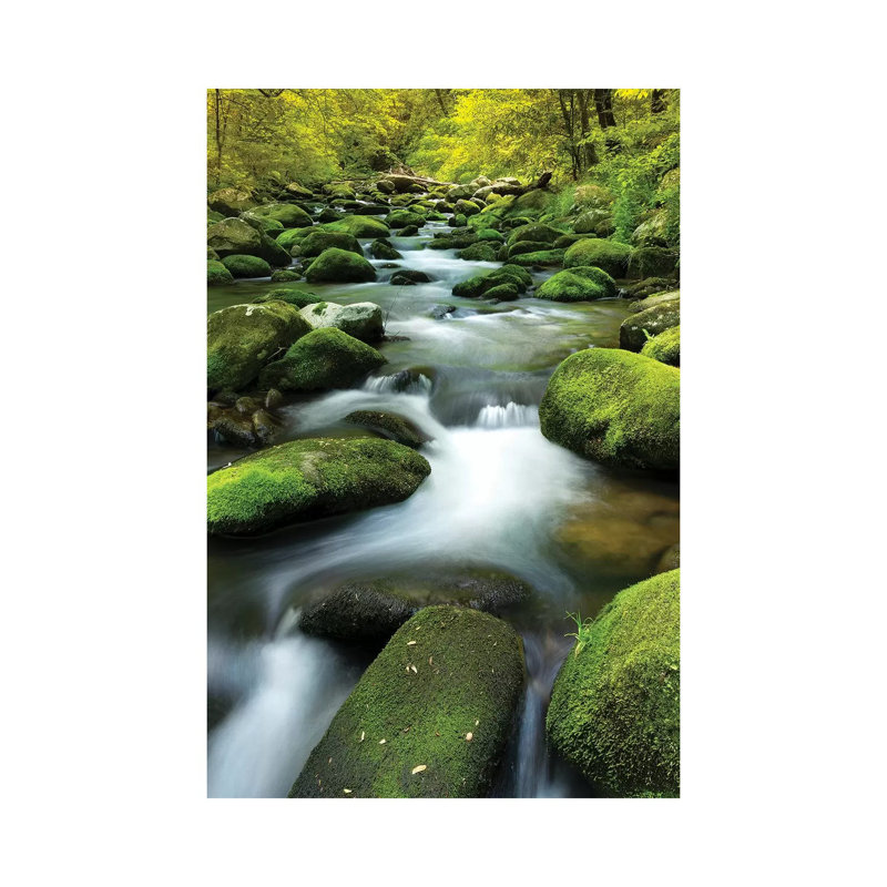 Mountain Stream 1 Piece Wrapped Canvas Wall Art, 20.32 cm H x 30.48 cm W