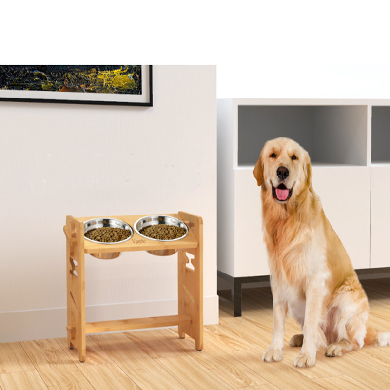 amizoy wayfair dog bowls