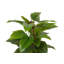 125cm Faux Banana Leaf Plant in Pot