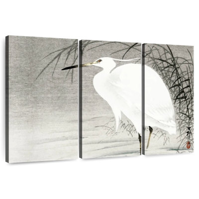 Petite aigrette Brampt