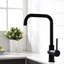 Robinet de lavabo de cuisine en laiton à poignée simple 1 trou noir