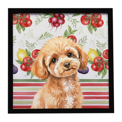 Toy Apricot Poodle Vegetables Framed Metal Print