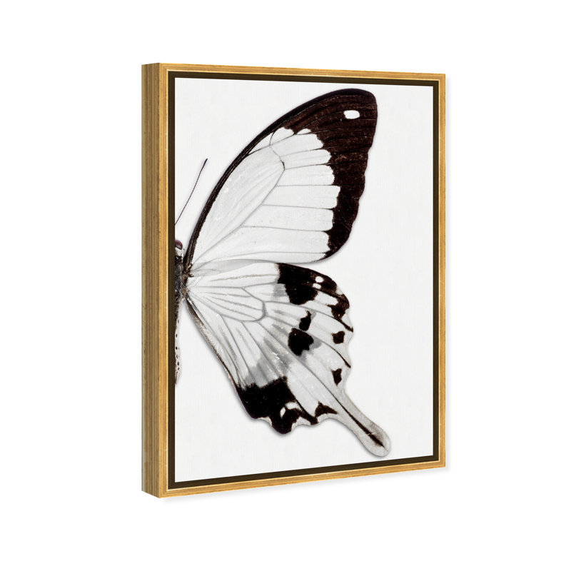 Monochrome Butterfly " Monochrome Butterfly II ", Gold Framed Canvas, 16" H x 24" W x 1.5" D