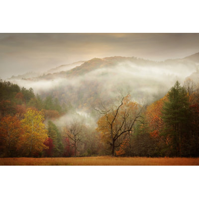 Autumn Mist by Phburchett - Photograph