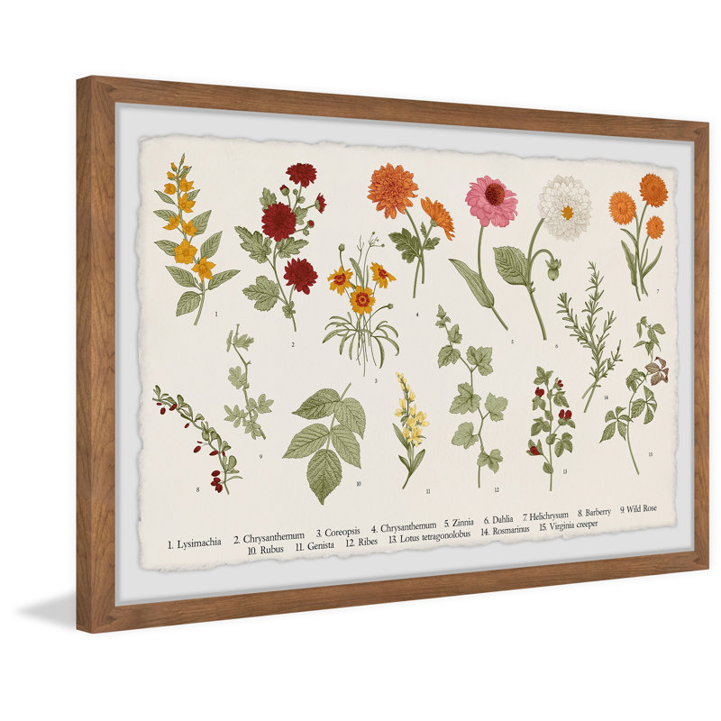 Wild Rose - Single Picture Frame Painting, 20cm H x 30cm W x 3.81cm D