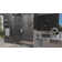 Elegance Plus 39.75" W x 72" H Pivot Frameless Shower Door with ClearMax Technology