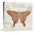 " Bookshelf Botanical X " by Katie Pertiet-28631546