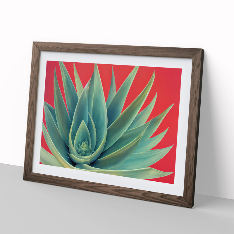 Spellbinding Aloe Vera Plant - Framed Print, 25cm H x 34cm W, Walnut Frame