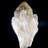 Natural Kundalani Citrine