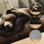 Tapis 10 x 14 pour chambre à coucher Grizzly Bear-134600317
