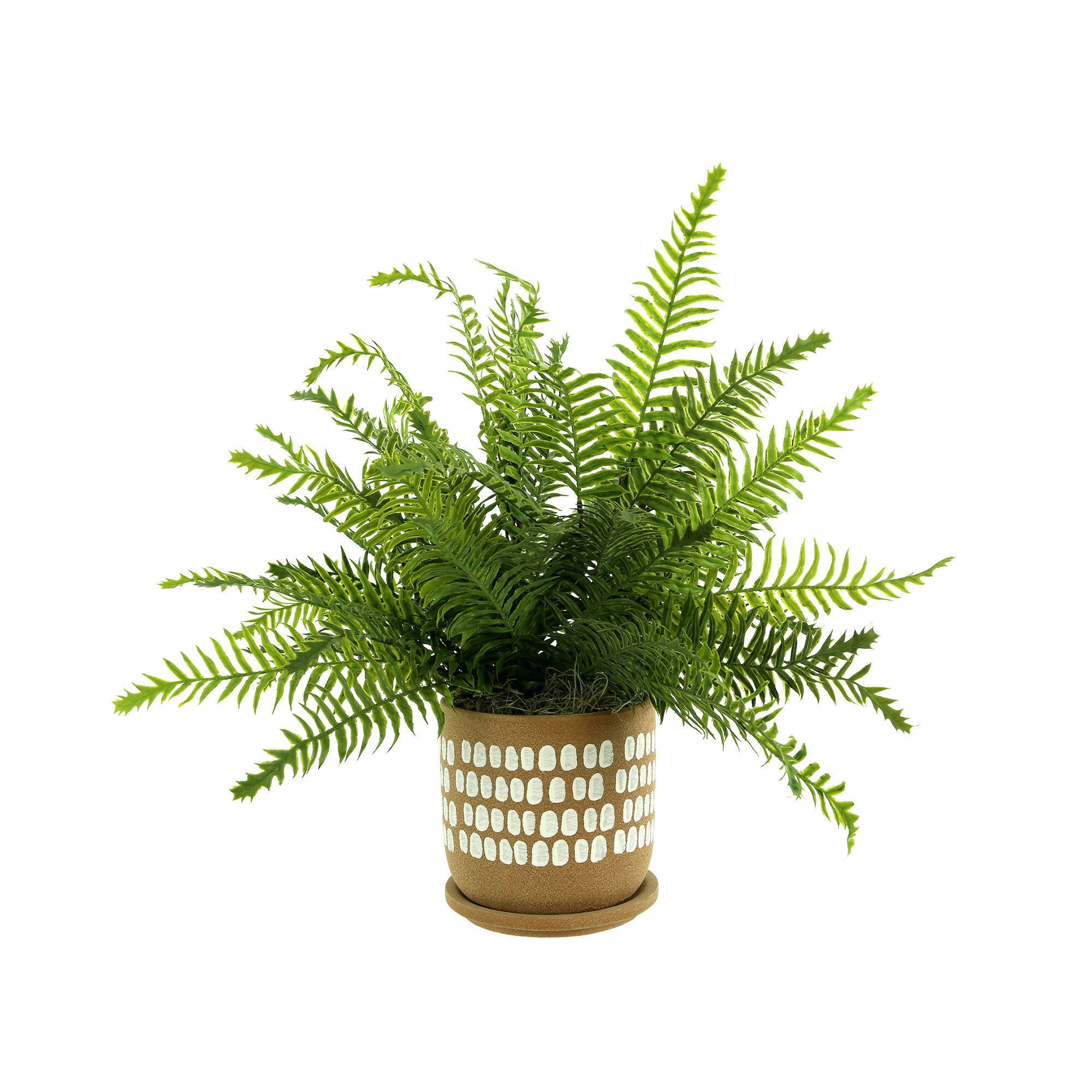 Primrue Metson 20" Faux Fern Plant in Ceramic Pot | Wayfair