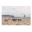 « arizona », photographie-43718834-43718835