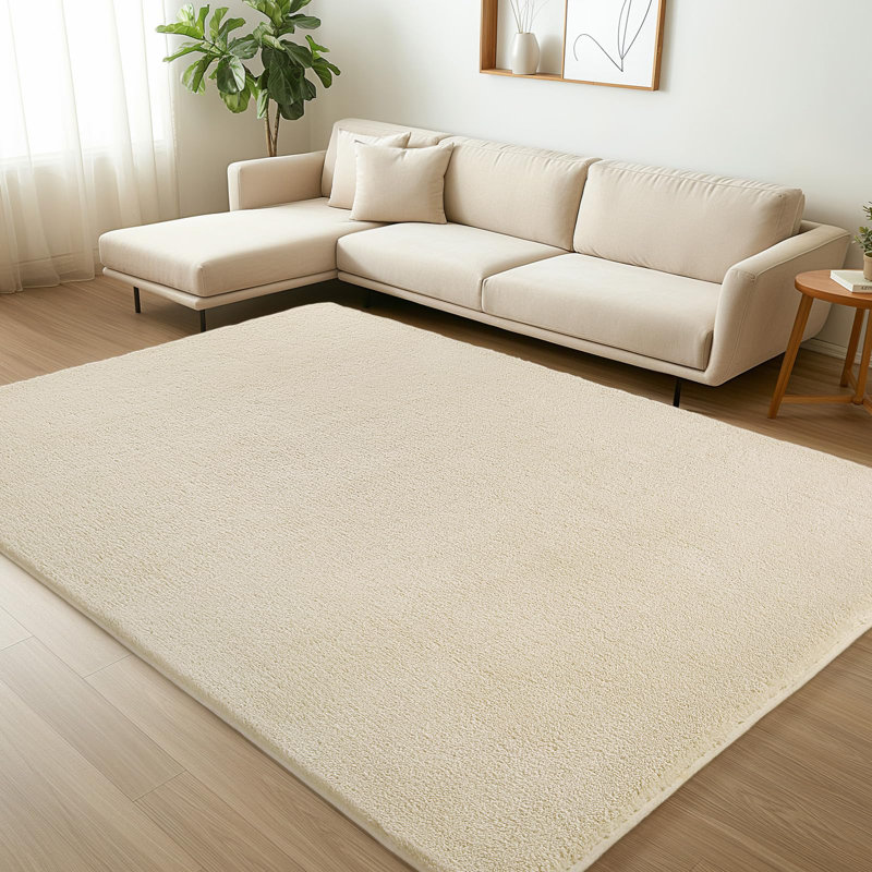 Machine Tufted Area Rug, Rectangle 240 x 300 cm