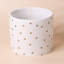 Feliza Handmade Ceramic Cachepot