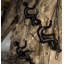 Art mural Billiejoe-499281332