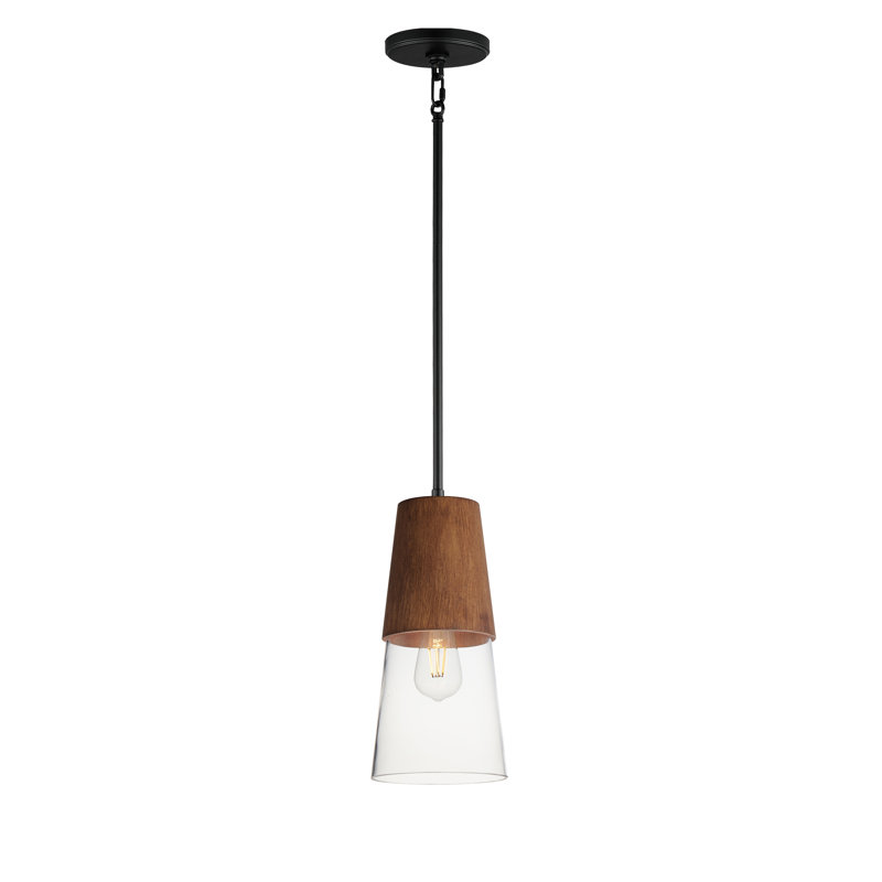 Luminaire suspendu simple à 1 lumière Remora, H 13 po x l 6,5 po x P 6,5 po