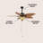 Emmabeth 52'' Ceiling Fan with Light Kit-224716328