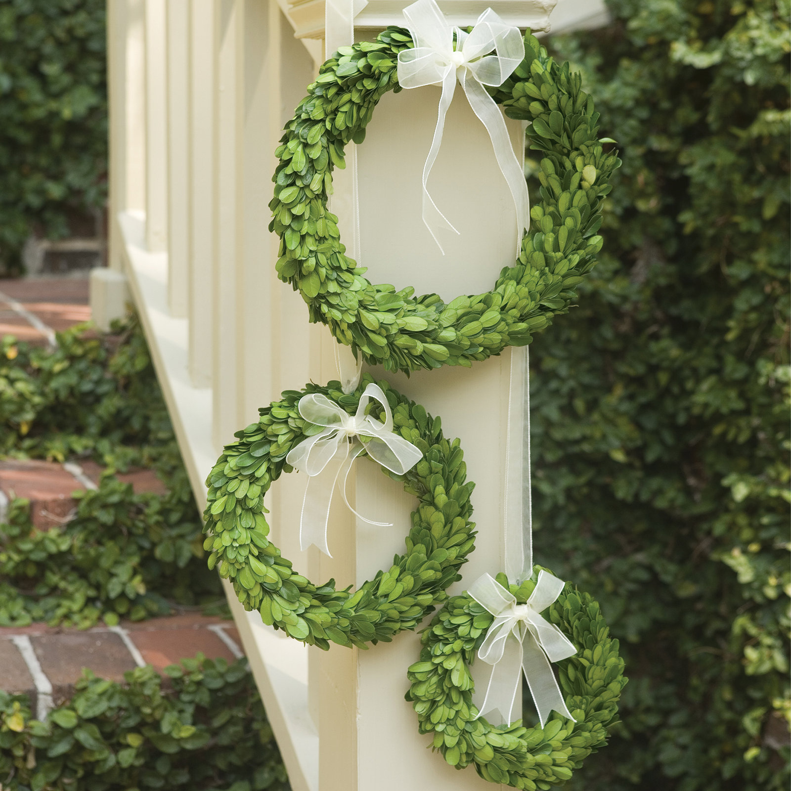 10'' Preserved Boxwood Wreath, White