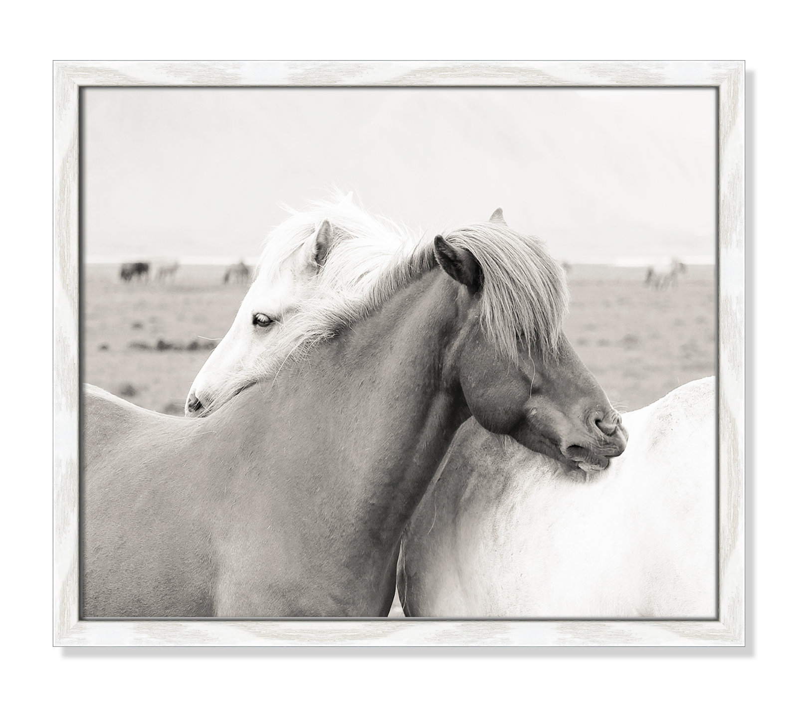 Icelandic Meadow Horses by Danita Delimont - Picture Frame Photograph on Paper, 16" H x 19" W x 0.75" D