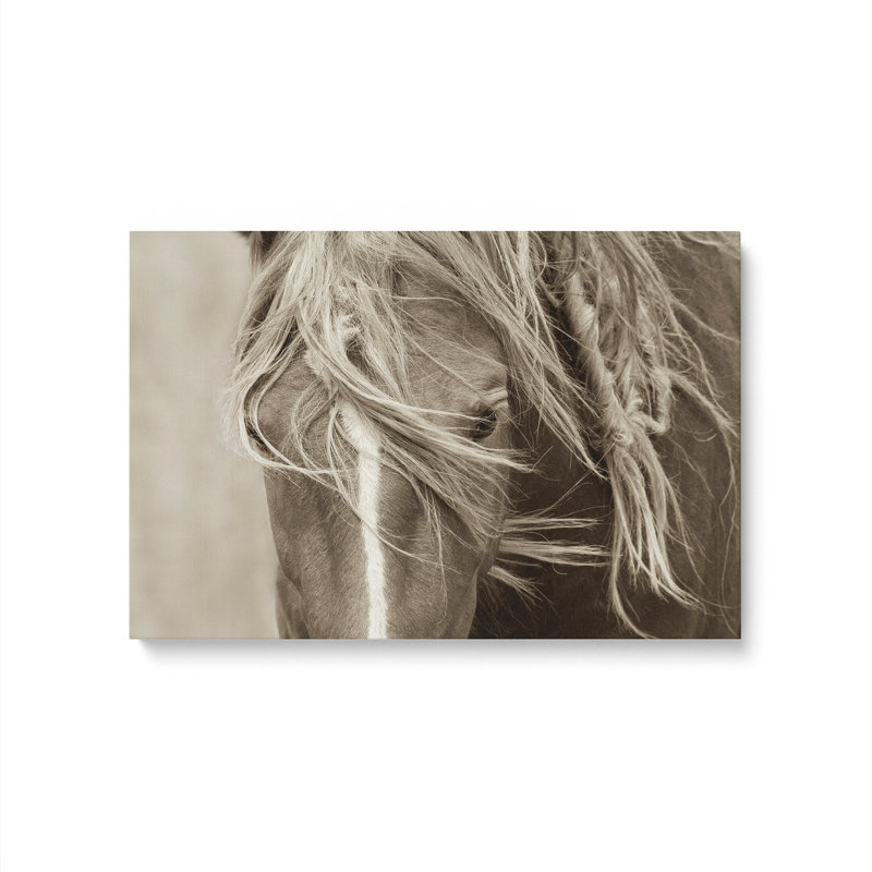 Sur toile, H 32 po x l 48 po x P 1,25 po