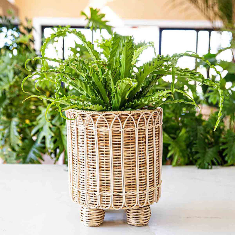 Provence Rattan 9.5" Round Planter - Whitewash