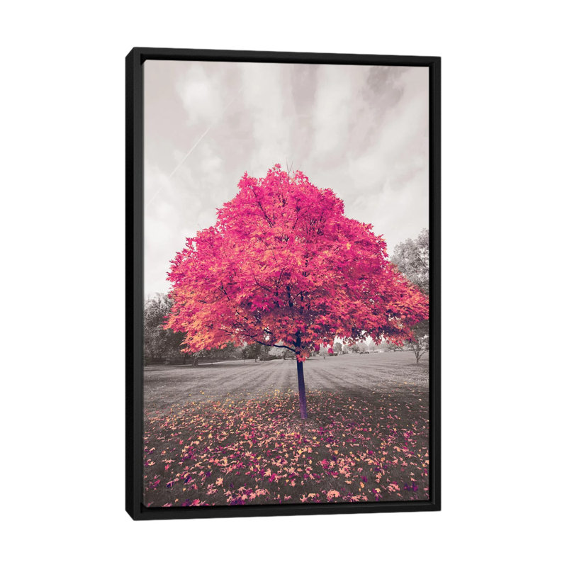 Reproduction de photo sur toile tendue, "Emotion création", H 26 po x l 18 po x P 1,5 po, Toile avec cadre noir, Pas de tapis