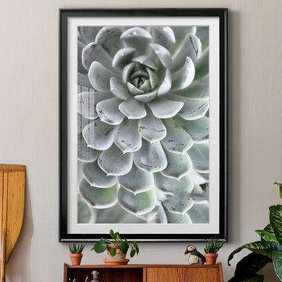 Zen Succulent IV by Irene Weisz - Matted and Framed Under Acrylic Glass, Large Living Room Wall Art