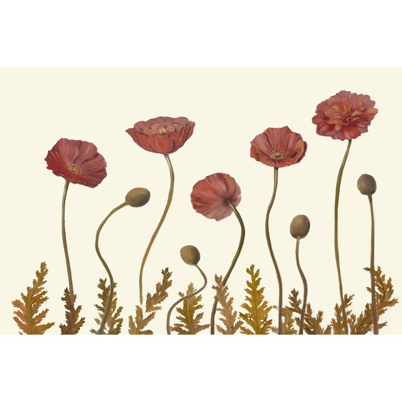 Coral Poppy Display II by Sandra Iafrate - Painting, Wrapped Canvas, 51cm H x 76cm W