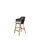 Choice Chair Indoor and Counter Four Teak Legs Base with Upholstery Cane-line Scent Seat Cover
