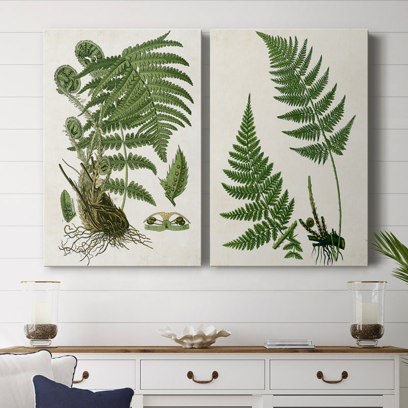 Toile tendue avec châssis Fern I-Premium - prêt à être accroché