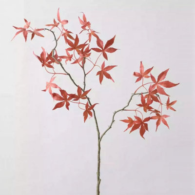 Japanese Maple Branch