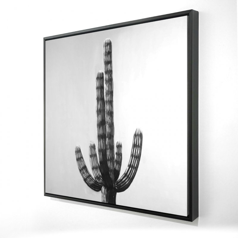 " Cactus "