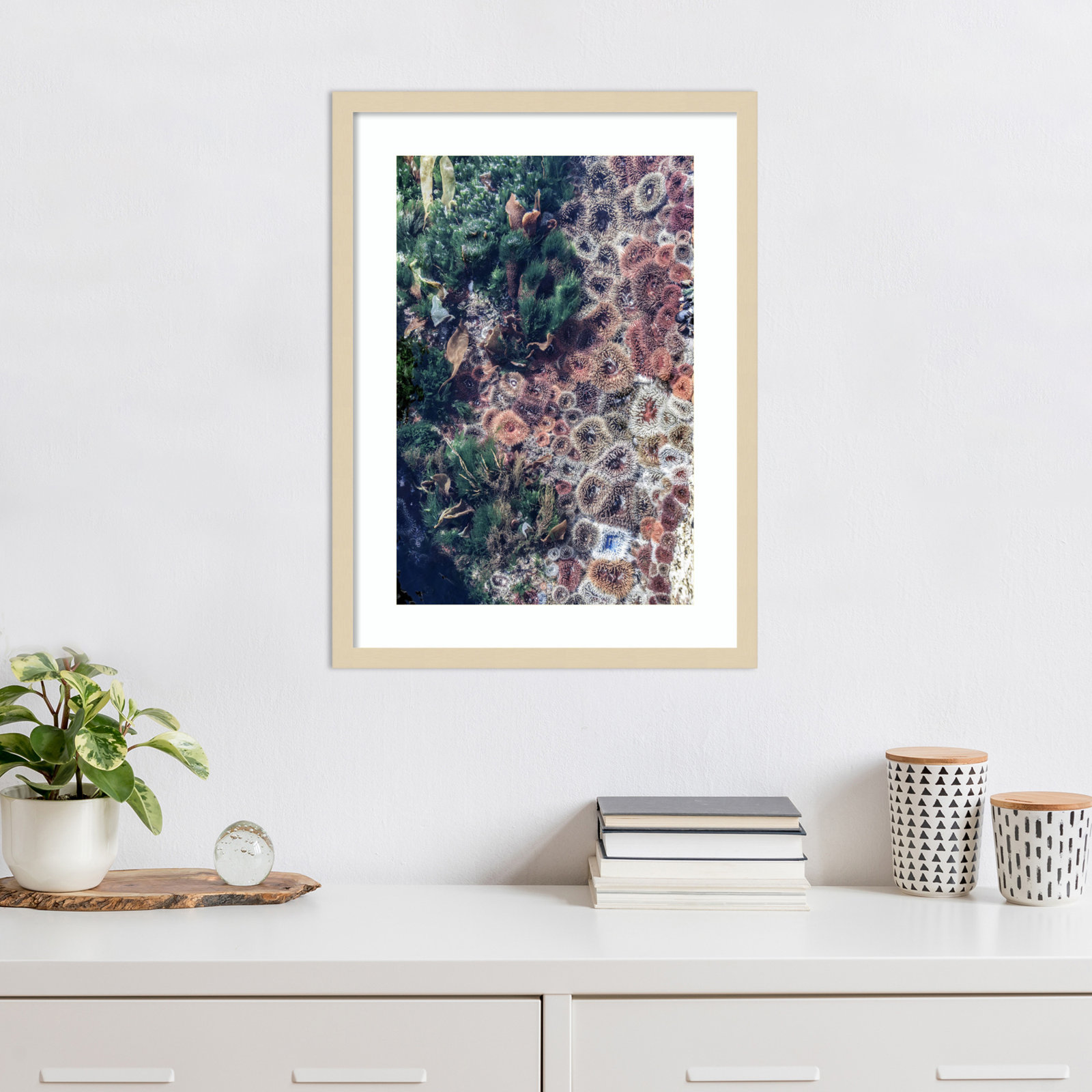 Daisey "Ocean Curiosities" Print, Brown, 25" H x 19" W