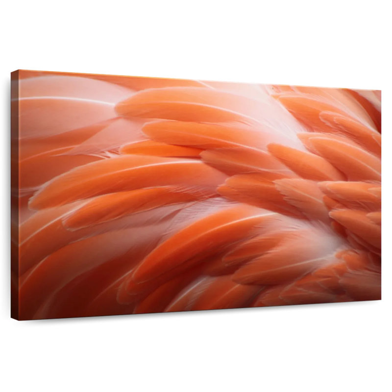 Crowle Lovely Flamingo Feathers
