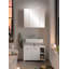 mm Wide 750 mm H Surface Mirrored Cabinet with Mirror Adjustable Shelves-66224411