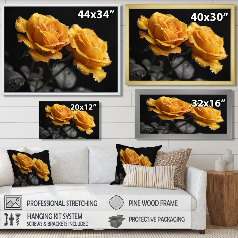 Monochromes de roses noires et jaunes Bloom II - roses, impression d'art mural, H 24 po x l 32 po, Cadre flottant brun