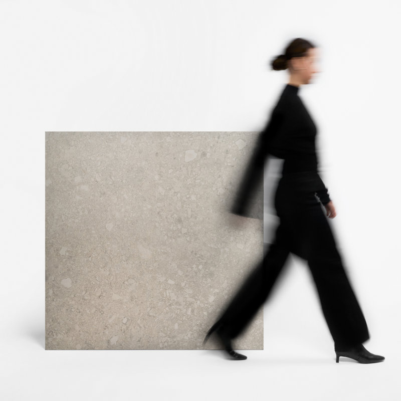 Rizo 48x48 Matte Terrazzo Look Porcelain Tile, Silver