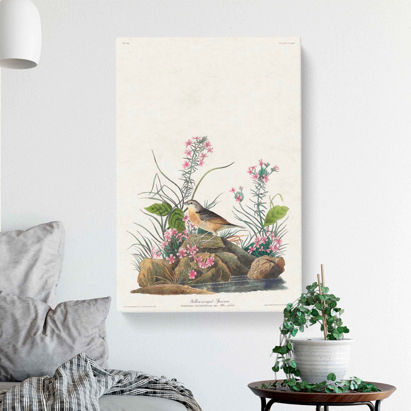 Yellow-Winged Sparrow by John Audubon - Wrapped Canvas, 60cm H x 40cm W x 3cm D