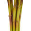 Tige de fleur artificielle Cole et Grey-855985902-855985901