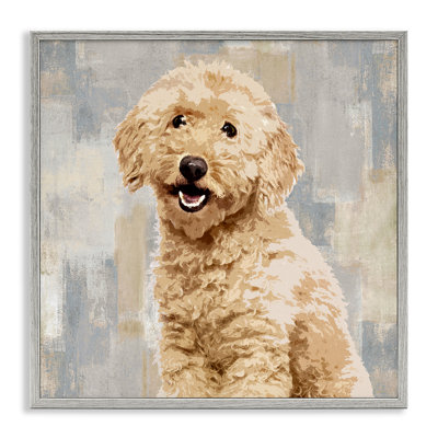 Chien souriant Labradoodle avec motif de gris et beige