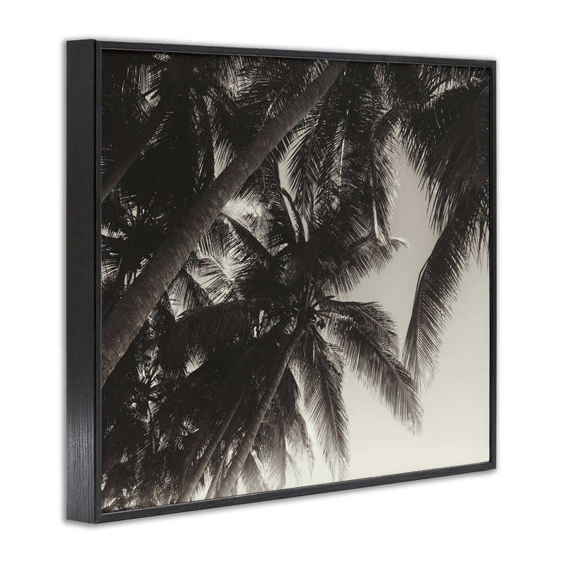 «Giclee Art» par Acosta, H 24 po x l 30 po, Giclée encadrée noir minuit